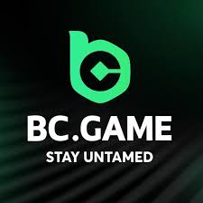 Exceptional Customer Service at BC.Game A Complete Guide
