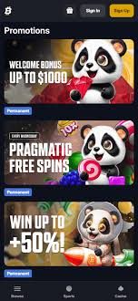 Discord Casino Servers The New Age of Social Gambling